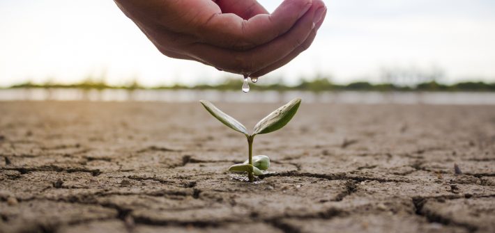 林時羽 到不孕症門診，要做哪些檢查？