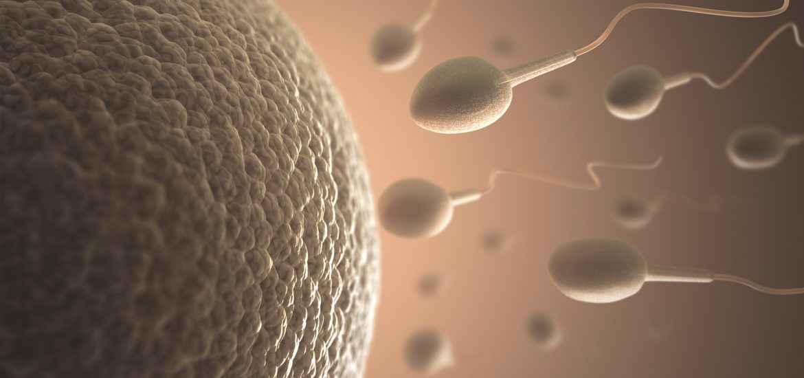 林時羽 男人怕不能生，3重點看精蟲健康