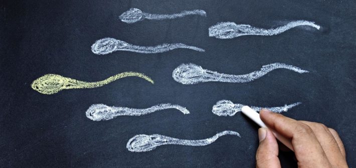 林時羽 精蟲變少了，可能原因是什麼！