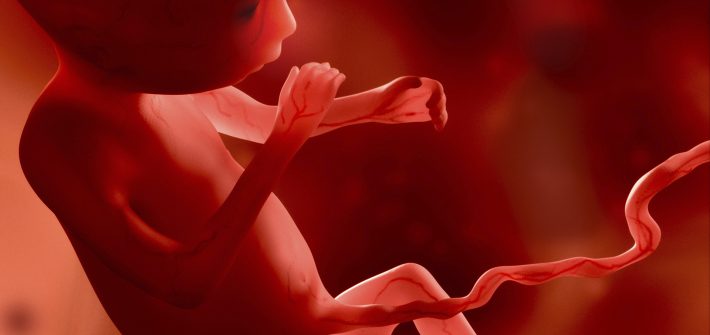 林時羽 胚胎發育不全會自然流產嗎？！