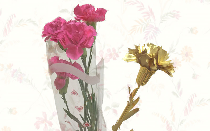 心情隨筆515 康乃馨的祝福